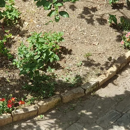Villa Porzione Di Stupenda 6 7 Posti Letto *